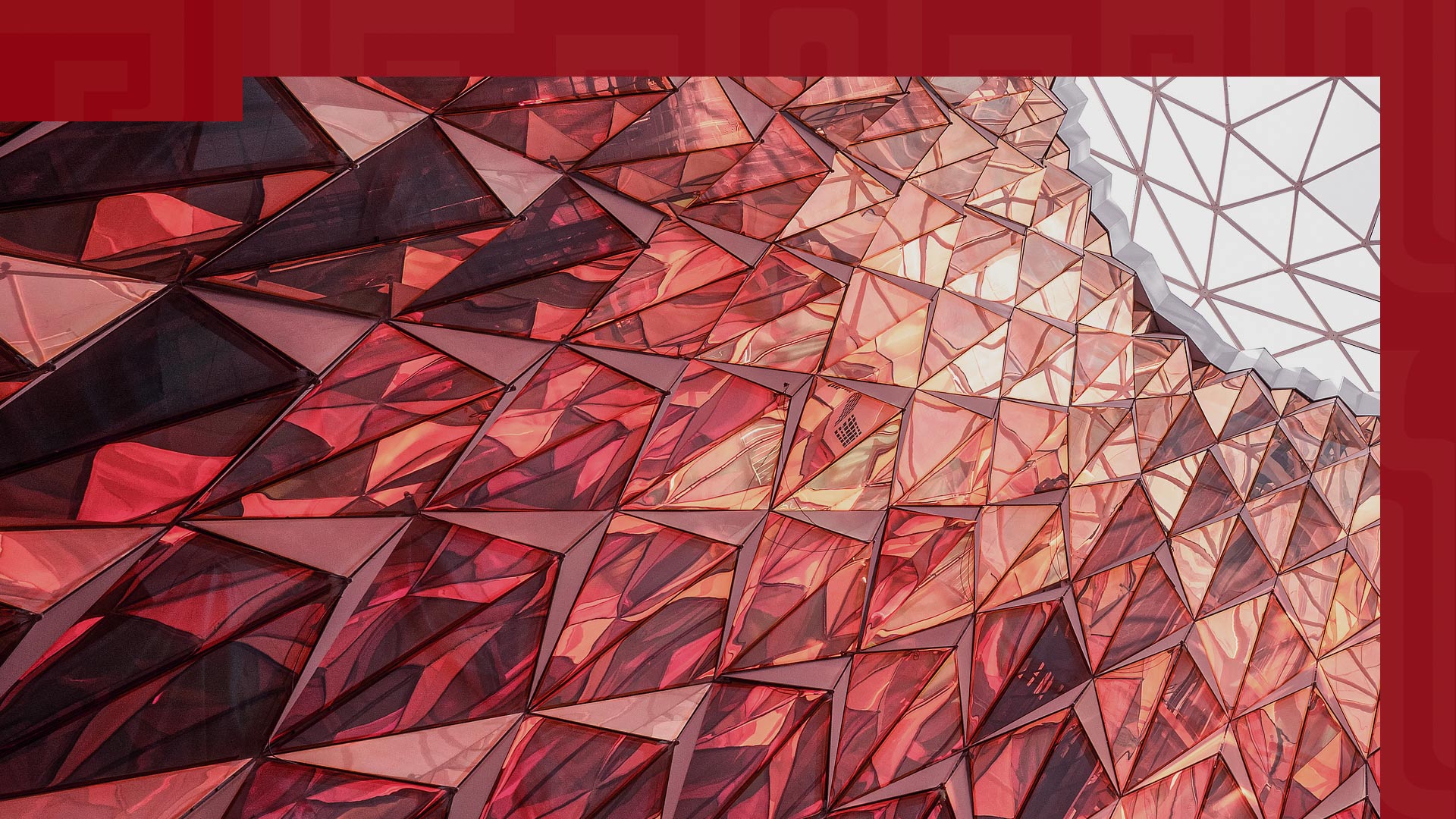 把学生推到舞台上，把舞台搭到社会上